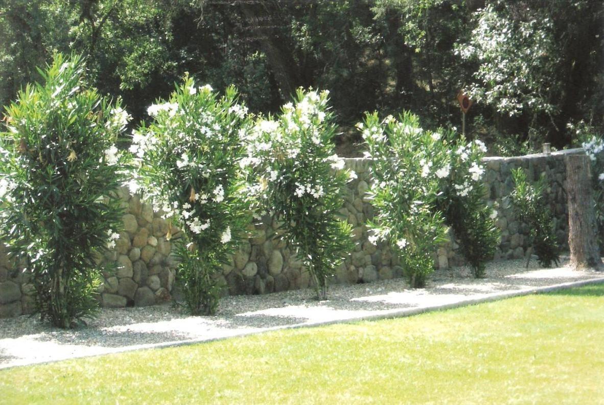 Spanish Villa Inn St. Helena Exterior photo